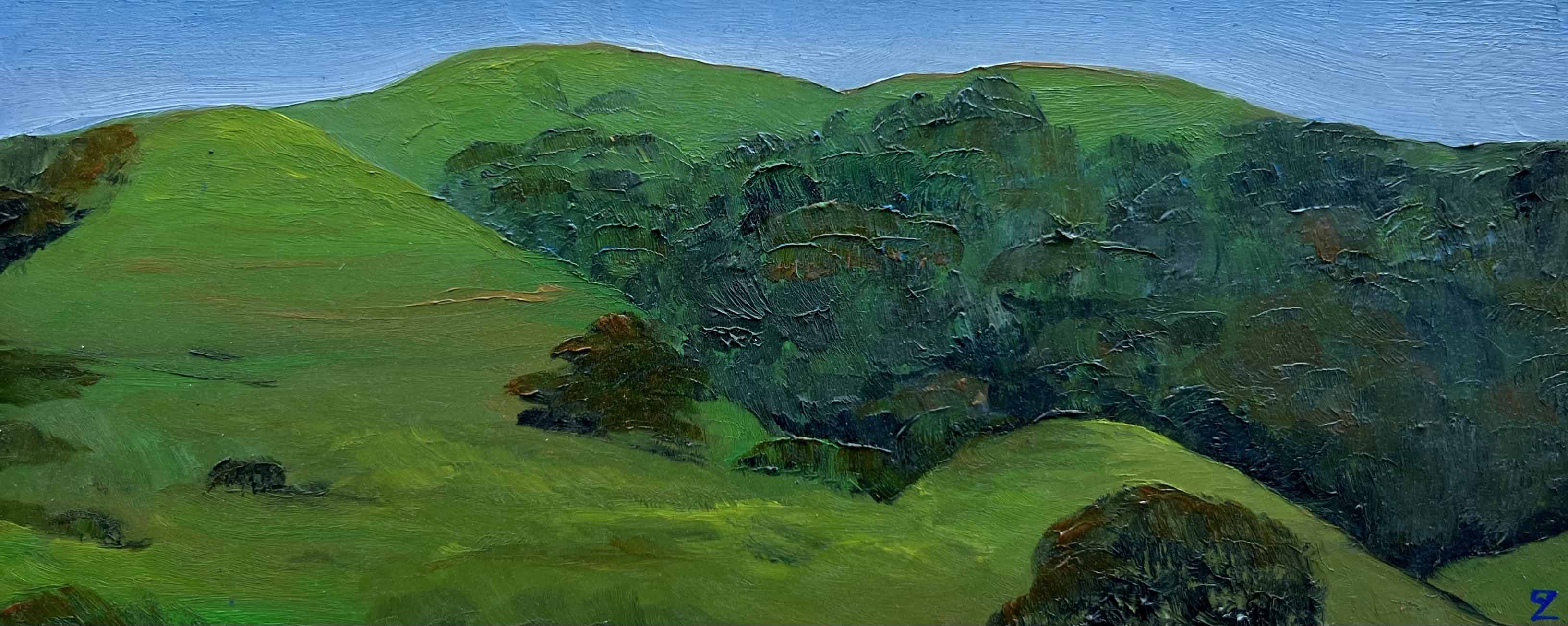 Nicasio Ranch Hills After the Rain