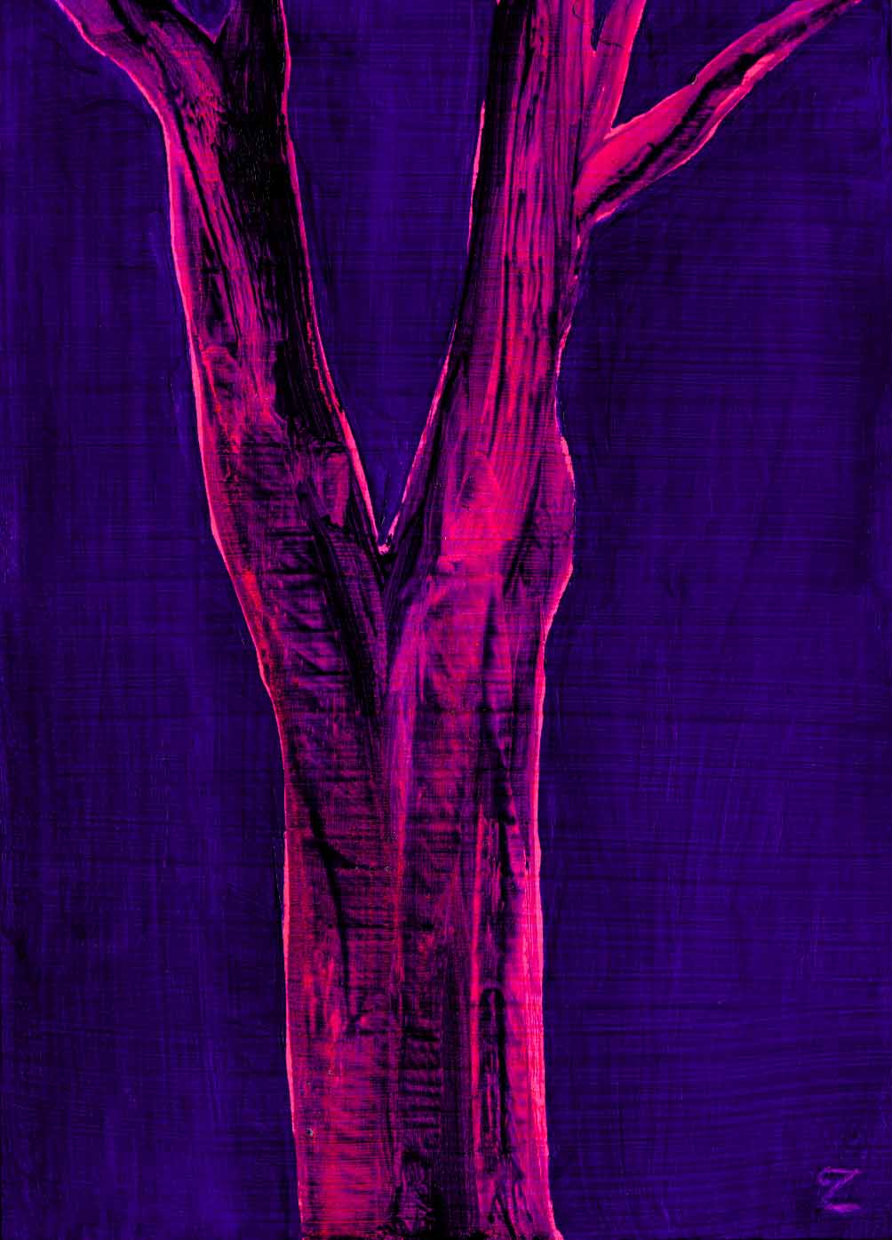 Under the Canopy, We Linger (Maple at Night 1)