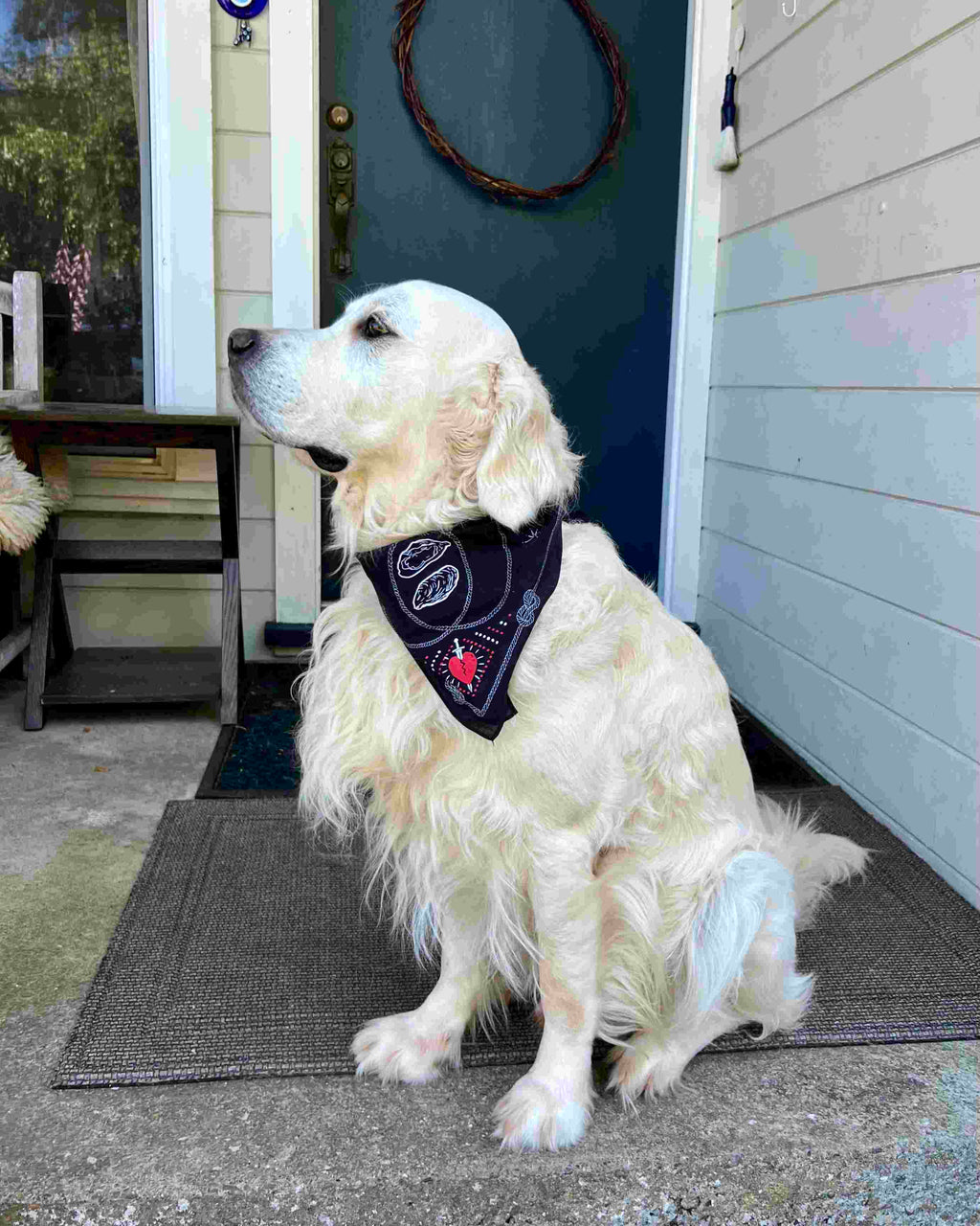 Point Reyes Bandana — Black, Red & White Cotton Bandana