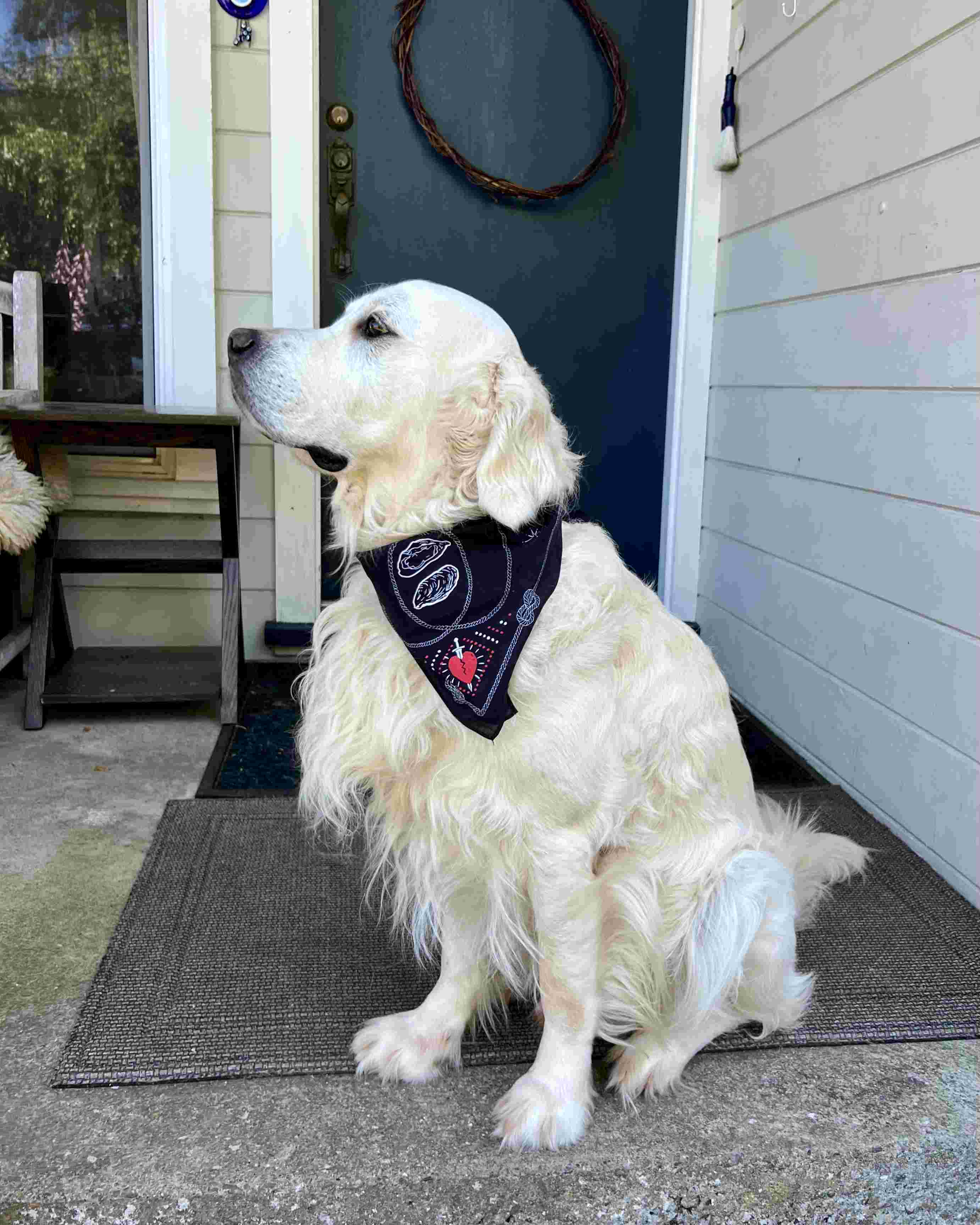 Point Reyes Bandana — Black, Red & White Cotton Bandana